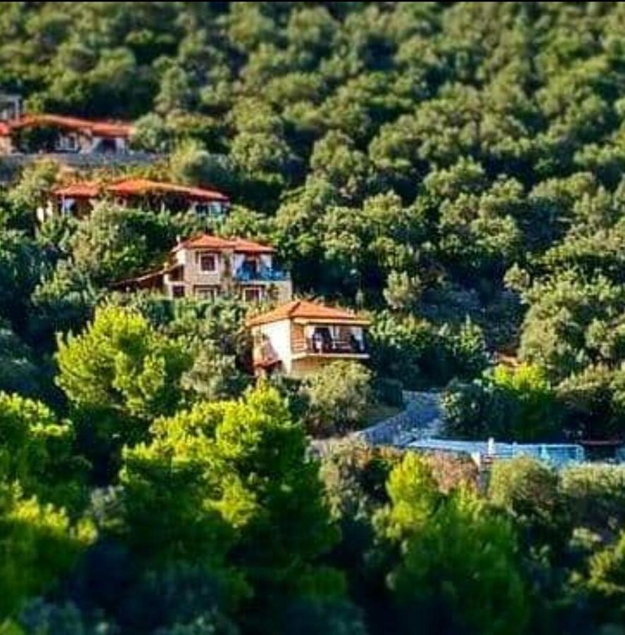 Skiathos Garden Cottages Bagian luar foto